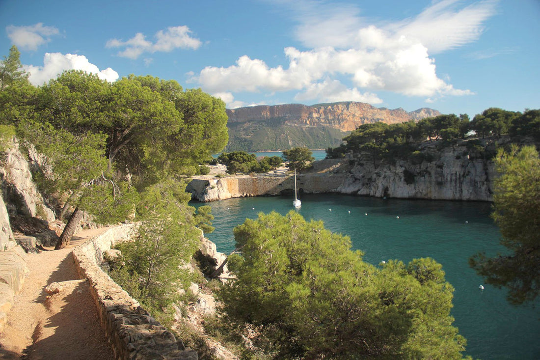 Top or Best Direct Mail Design Agencies and Companies in Marseille, France