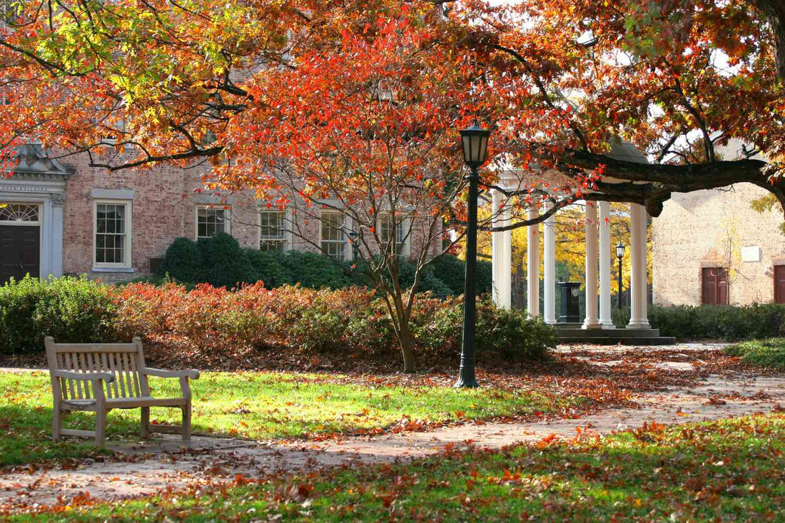 Top or Best Graphic Design Agencies and Companies in Chapel Hill, North Carolina