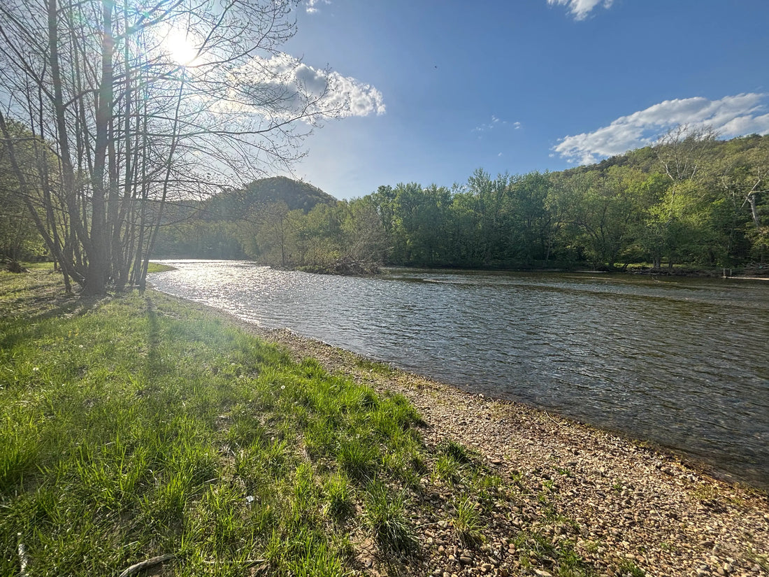 Top or Best Mural Design Agencies and Companies in Vienna, West Virginia