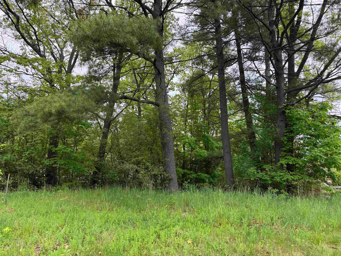 Top or Best Flyer Design Agencies and Companies in Milton, Vermont