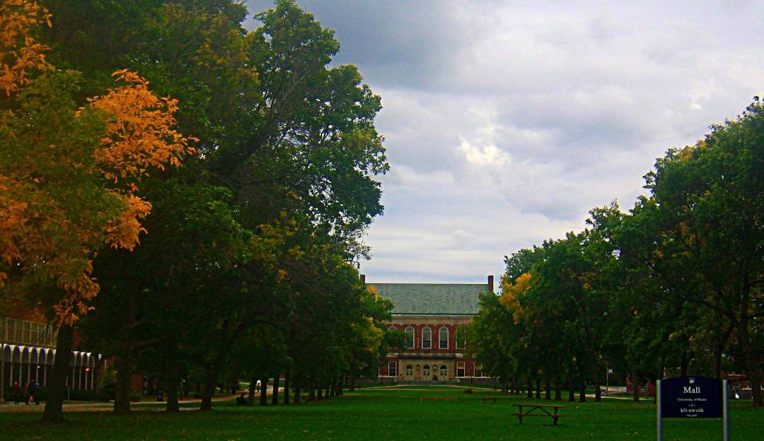 Top or Best Portraits & Caricatures Agencies and Companies in Orono, Maine