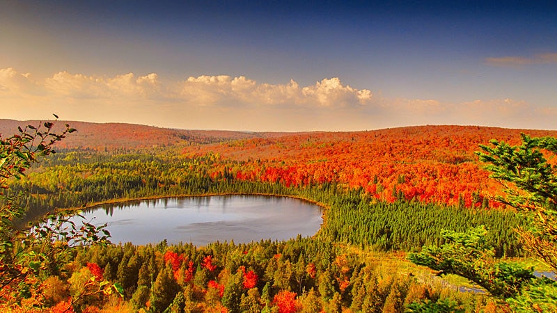 Top or Best Postcard Design Agencies and Companies in Coon Rapids, Minnesota