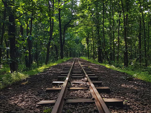 Top or Best Graphic Design Agencies and Companies in Nagpur, India