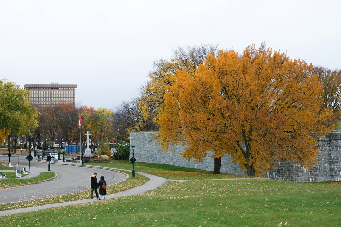 Top or Best Graphic Design Agencies and Companies in Lansing, Michigan