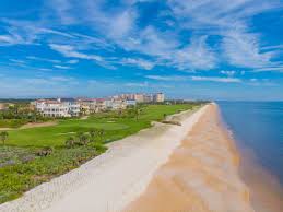 Top or Best Infographic Design Agencies and Companies in Palm Coast, Florida