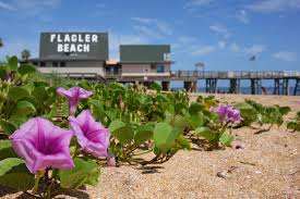 Top or Best Invitation Design Agencies and Companies in Palm Coast, Florida