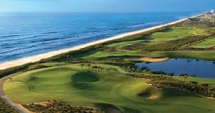 Top or Best Drawing and Illustration Agencies and Companies in Palm Coast, Florida