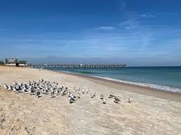 Top or Best NFT Art Agencies and Companies in Palm Coast, Florida