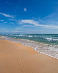 Top or Best App UI/UX Design Agencies and Companies in Palm Coast, Florida