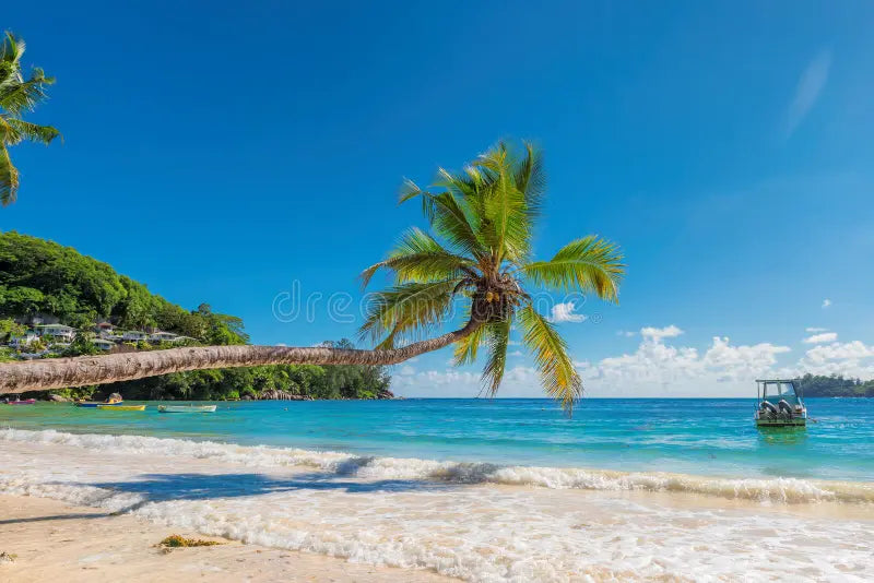 Top Catalog Design Agencies in Jamaica: Showcasing Products with Style
