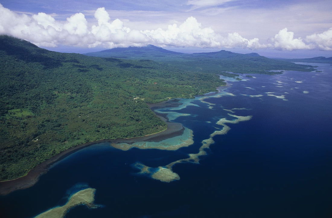 Top or Best Athlete Brand Partnership Agencies and Companies in Papua New Guinea