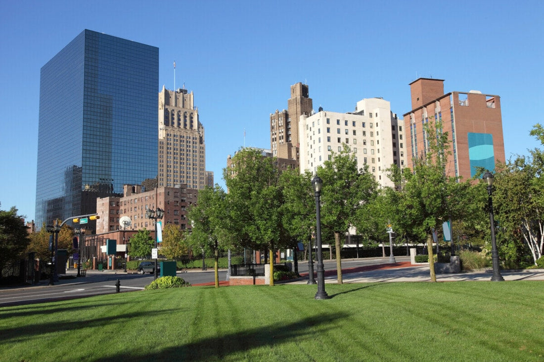 Best or Top Brochure Design Agencies and Companies in Newark, New Jersey