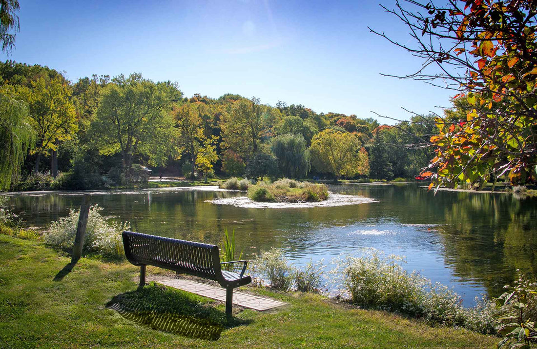 Top or Best Catalog Design Agencies and Companies in Bolingbrook, Illinois