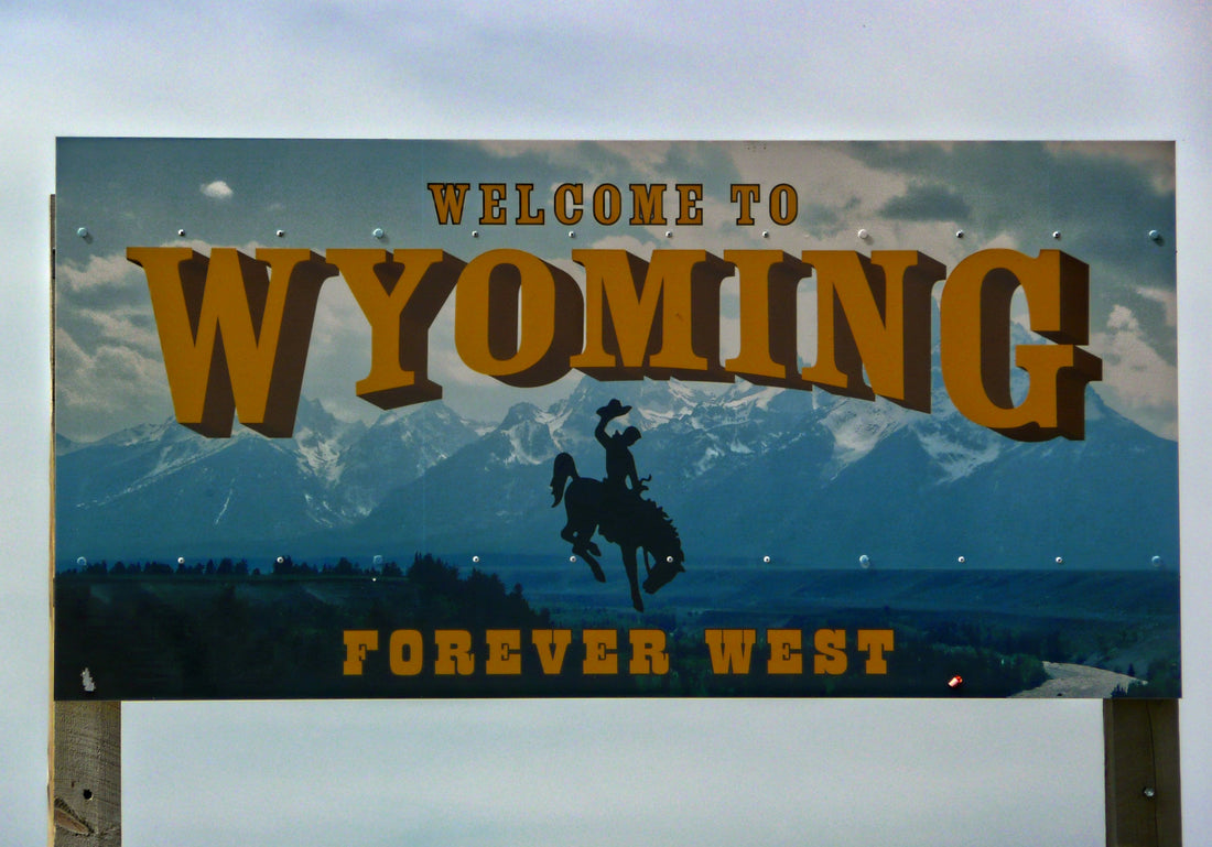 Top and Best TikTok Management Agencies and Companies in Torrington, Wyoming