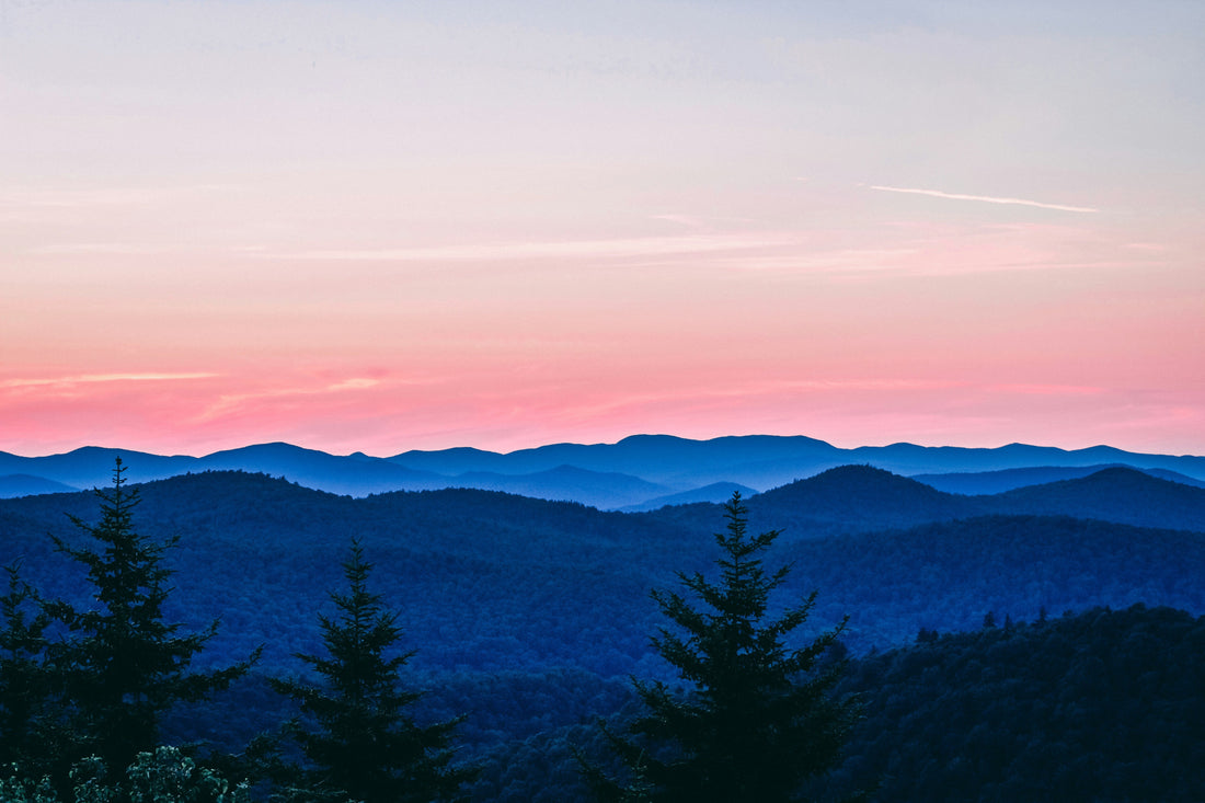 Top and Best Instagram Management Agencies and Companies in Roanoke, Virginia