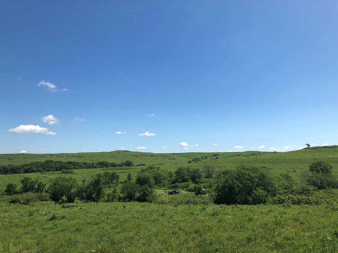 Top or Best Facebook Management Agencies and Companies in Emporia, Kansas