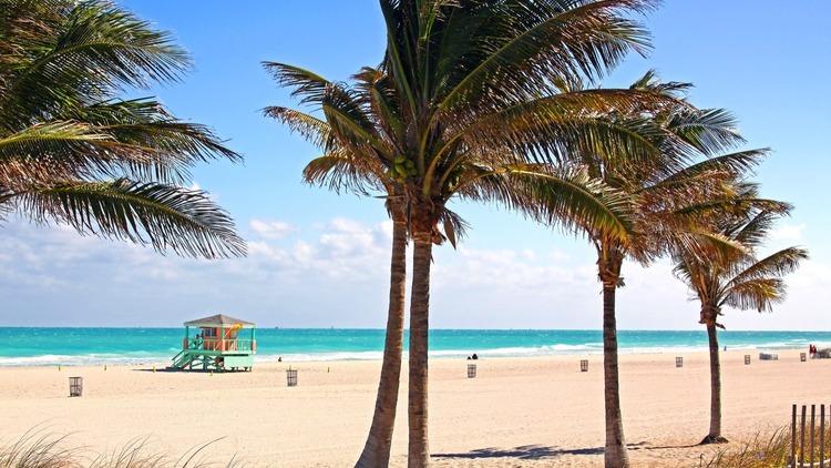 Top or Best Packaging Design Agencies and Companies in Miami Beach, Florida