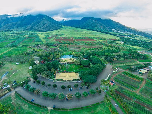 Top or Best Presentation Design Agencies and Companies in Wailuku, Hawaii