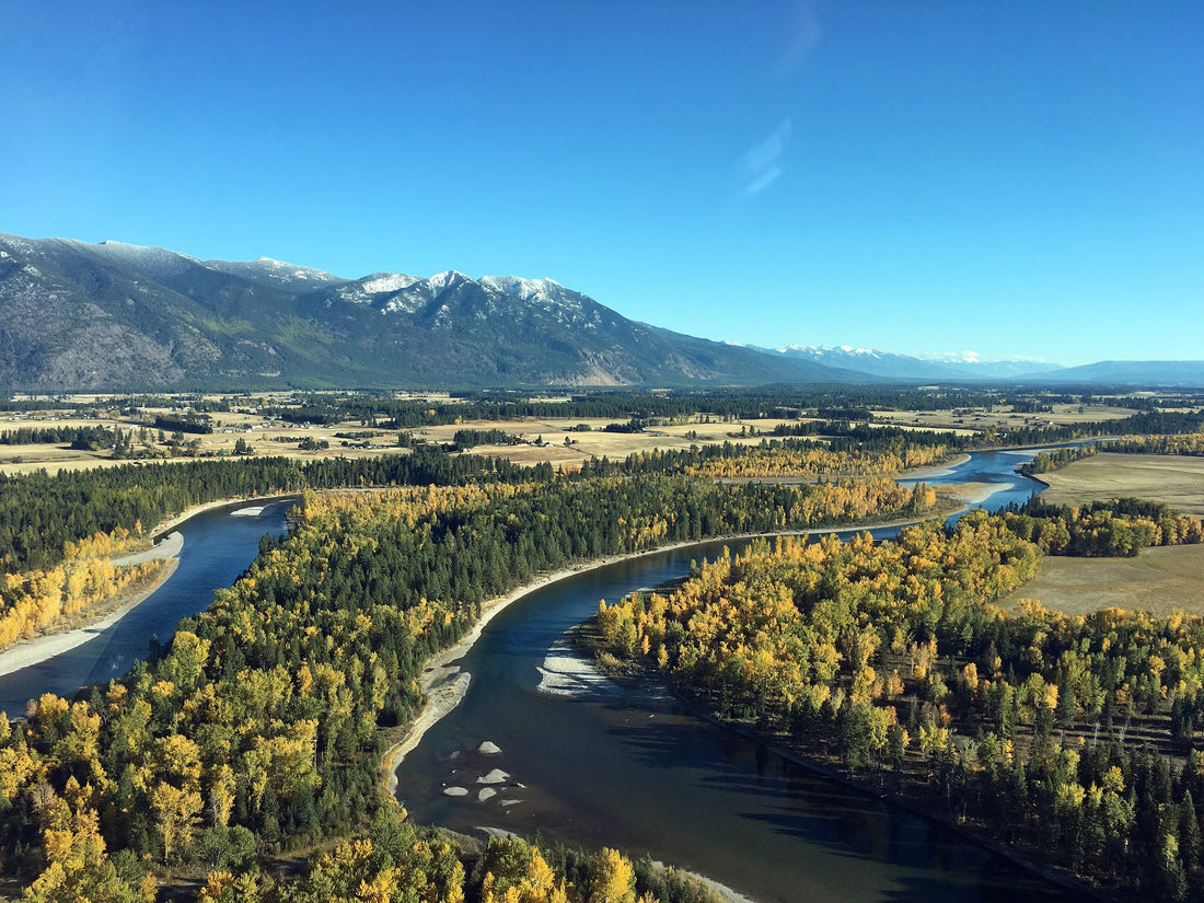 Top or Best Web & Mobile Design Agencies and Companies in Kalispell, Montana