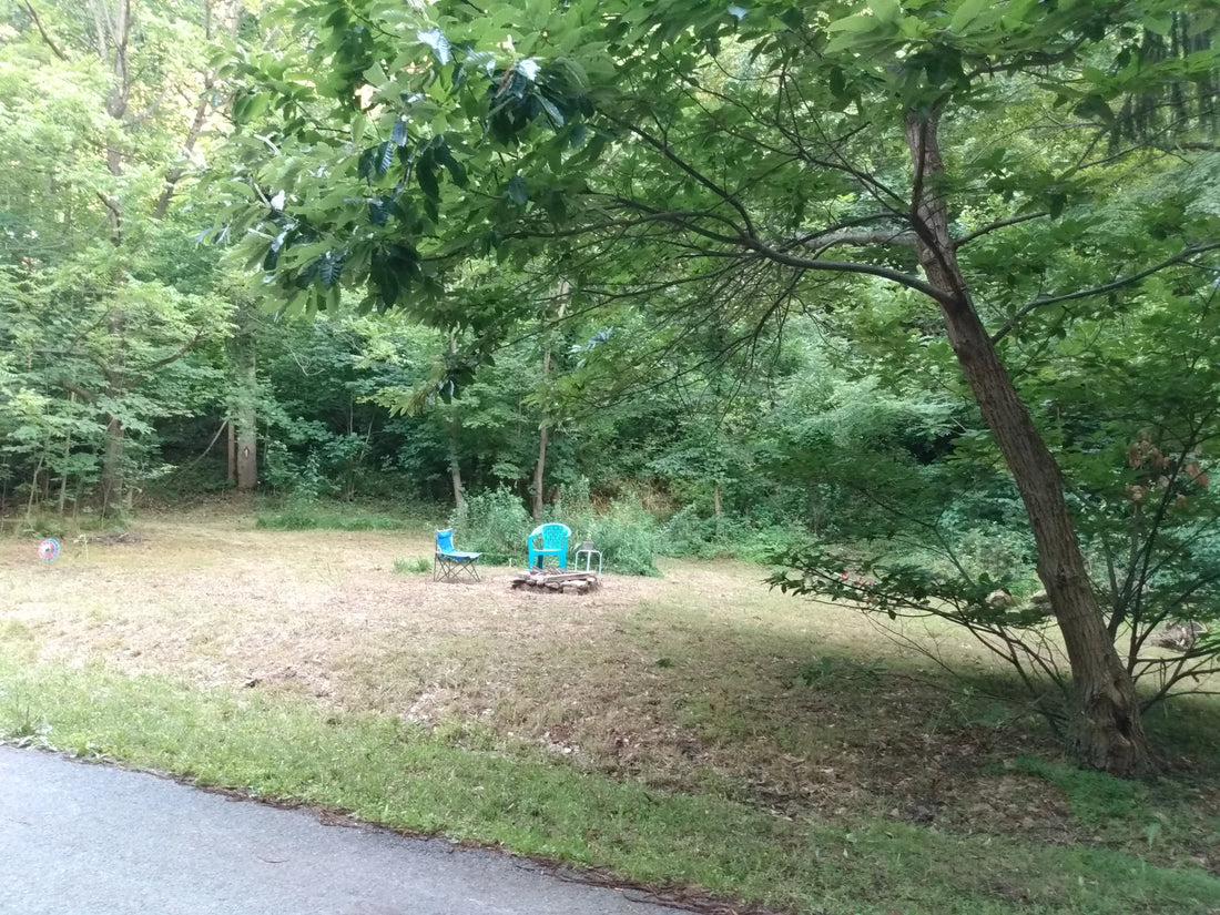 Top or Best App UI/UX Design Agencies and Companies in Vienna, West Virginia