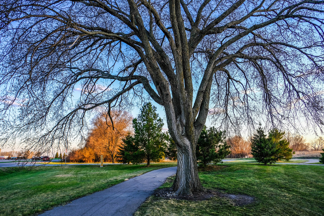 Top and Best AR Filters and Lenses Agencies and Companies in Mitchell, South Dakota