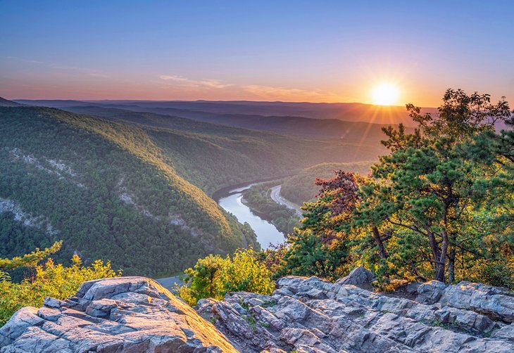 Top 5 Social Media Management Companies in Pennsylvania