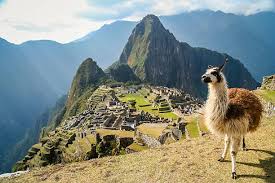 Best TikTok Management Companies in Peru