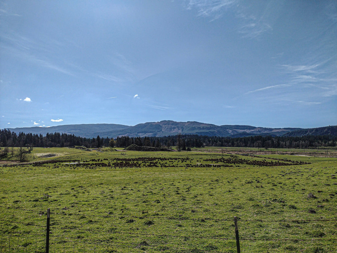 Top and Best Animation and Motion Graphics Agencies and Companies in Corvallis, Oregon