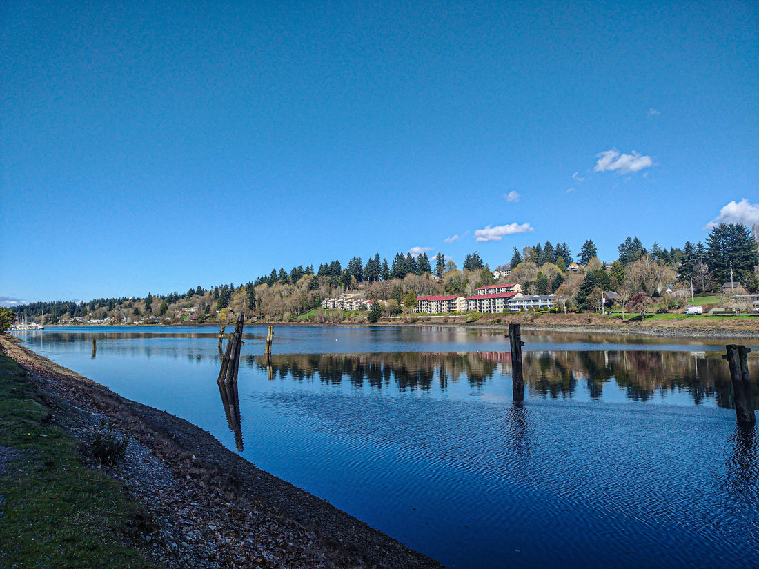 Top and Best Snapchat Management Agencies and Companies in Corvallis, Oregon