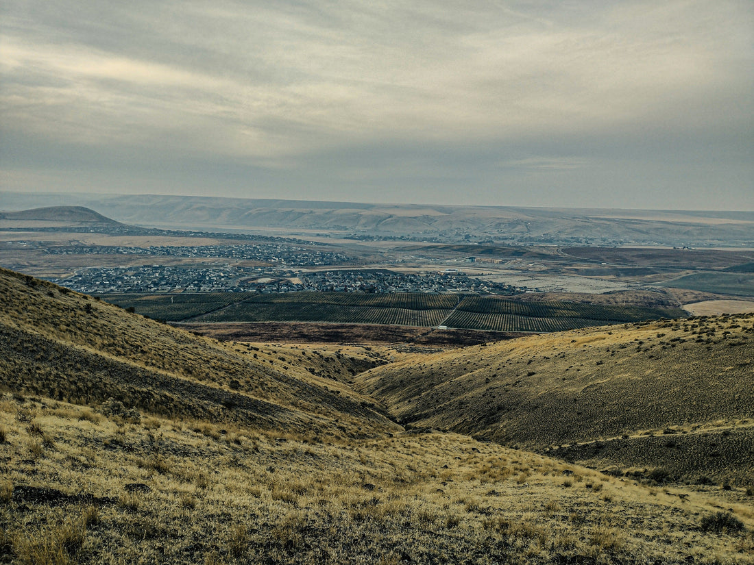 Top or Best Instagram Management Agencies and Companies in Miles City, Montana