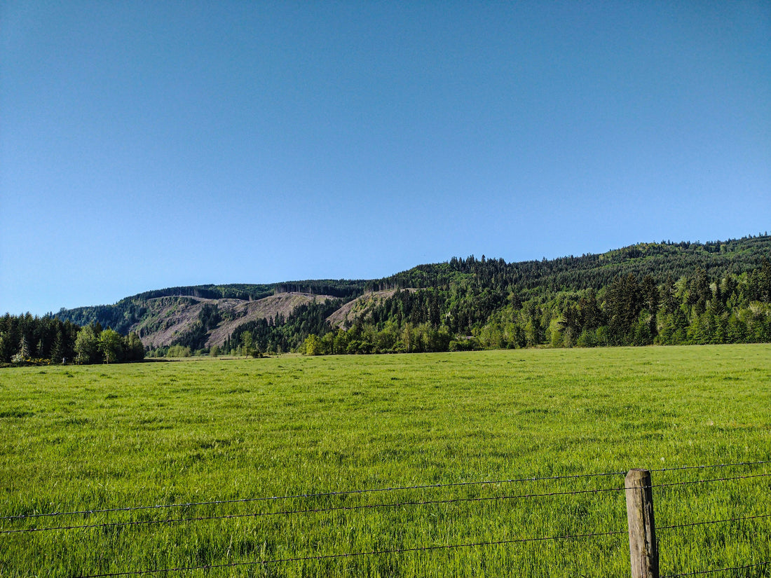 Top and Best Social Media Management Agencies and Companies in Corvallis, Oregon