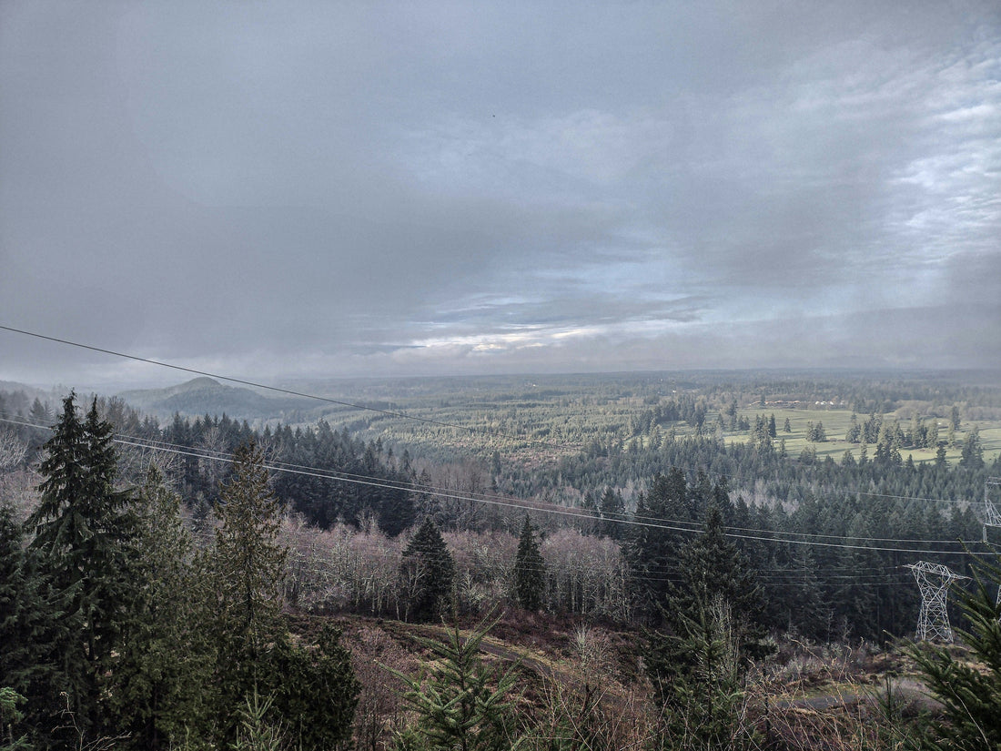 Top and Best Poster Design Agencies and Companies in Corvallis, Oregon