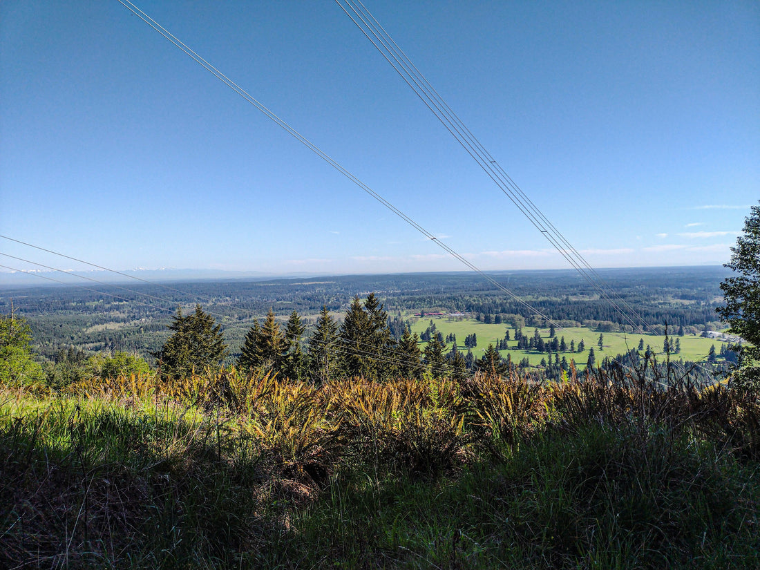 Top and Best Menu Design Agencies and Companies in Corvallis, Oregon