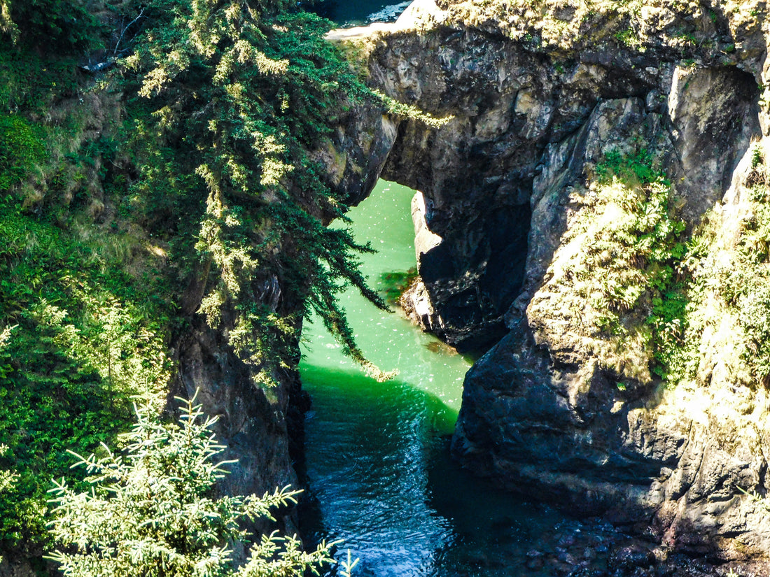 Top or Best NFT Art Agencies and Companies in Springfield, Oregon