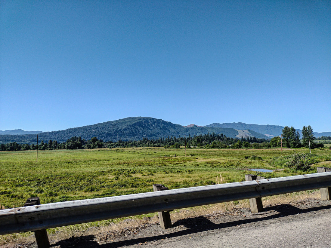 Top and Best Invitation Design Agencies and Companies in Corvallis, Oregon