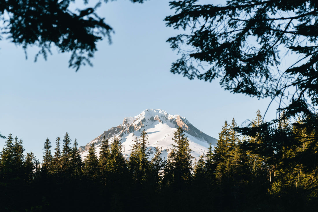 Top and Best Animation and Motion Graphics Agencies and Companies in Gresham, Oregon