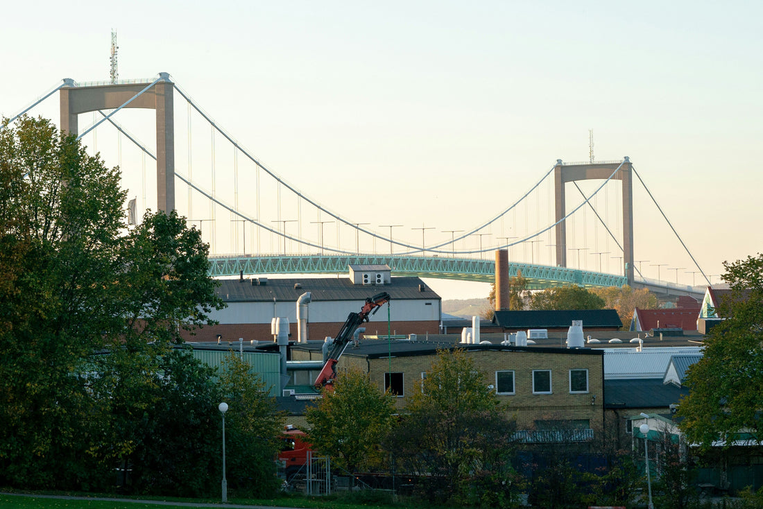 Top and Best Twitch Management Agencies and Companies in Oshkosh, Wisconsin