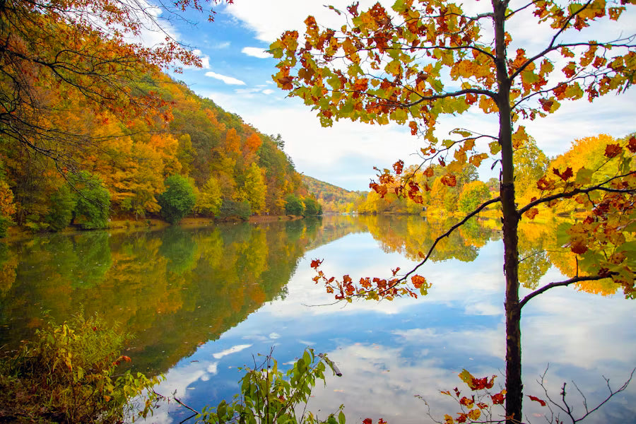 Top or Best YouTube Management Agencies and Companies in Bristol, England