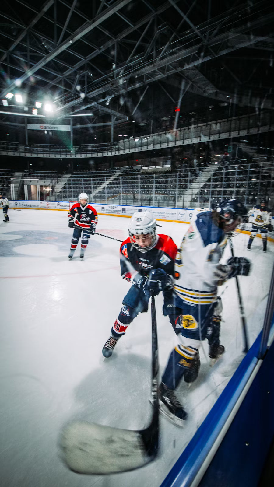 What Is The Scope Of An MS In Sports Management?