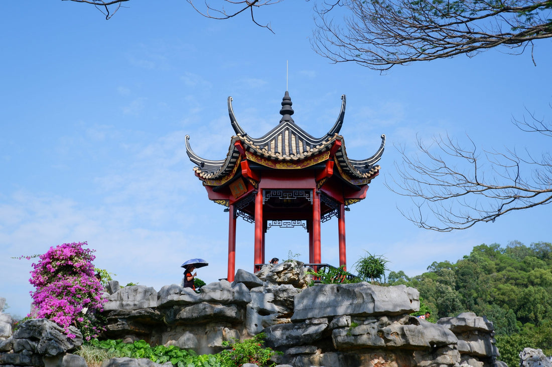 Top or Best Influencer Brand Collaboration Agencies and Companies in Foshan, China