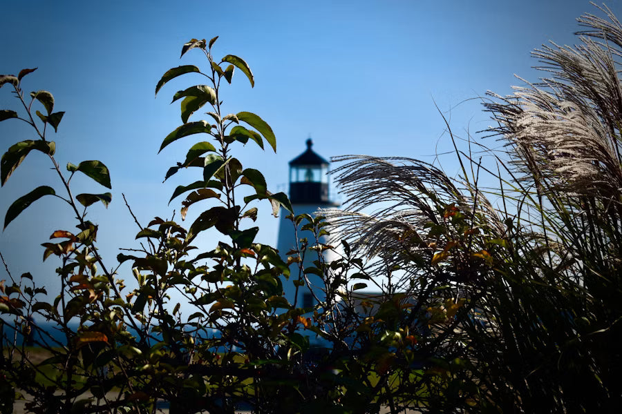 Top or Best Podcast Cover Design Agencies and Companies in Bristol, England