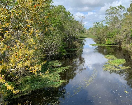 Top or Best Mural Design Agencies and Companies in Marrero, Louisiana