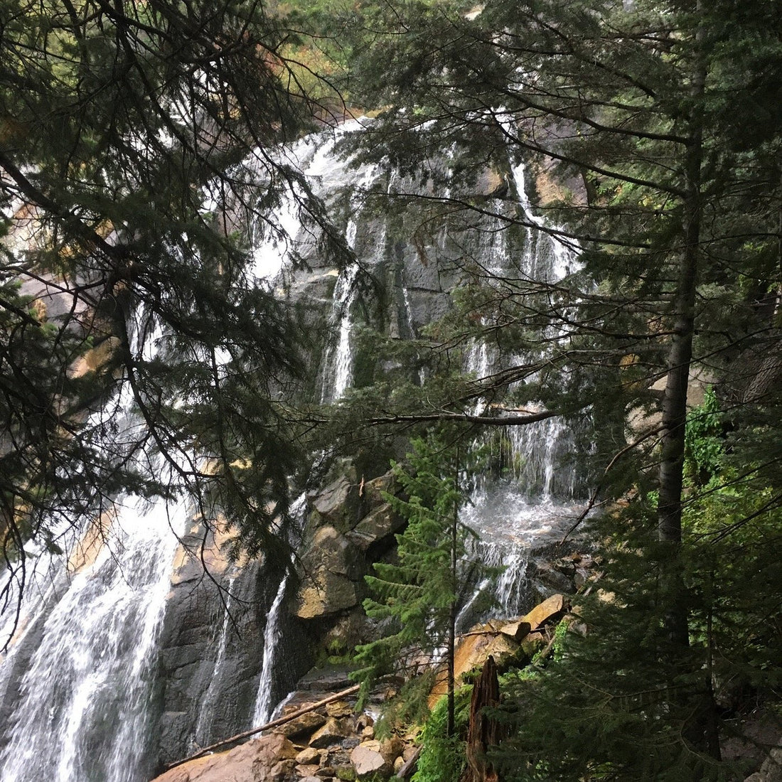 Top or Best Invitation Design Agencies and Companies in Sandy, Utah