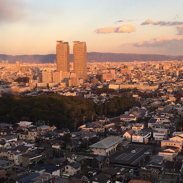 Top or Best Athlete Brand Collaboration Agencies and Companies in Sakai, Japan