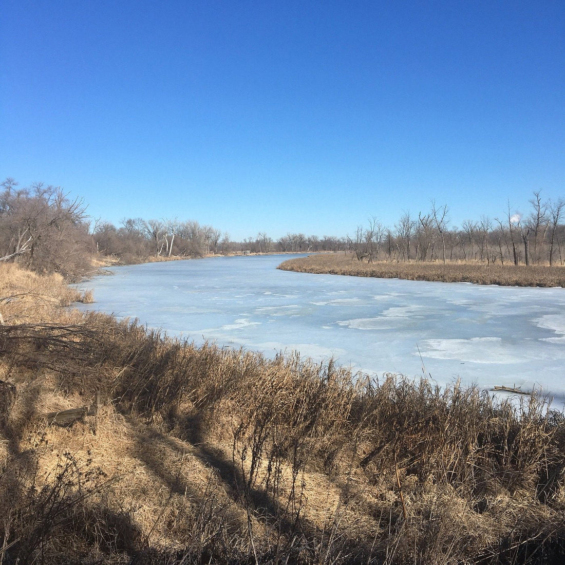 Top or Best LinkedIn Management Agencies and Companies in Bellevue, Nebraska