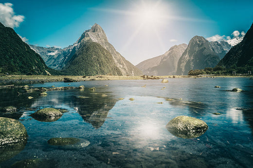 Top 5 Portraits and Caricatures Agencies in New Zealand