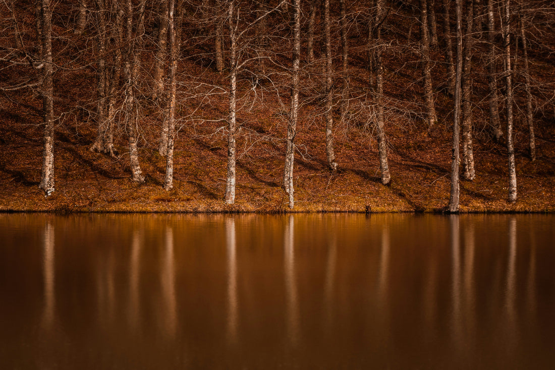 Top and Best TikTok Management Agencies and Companies in Chesapeake, Virginia