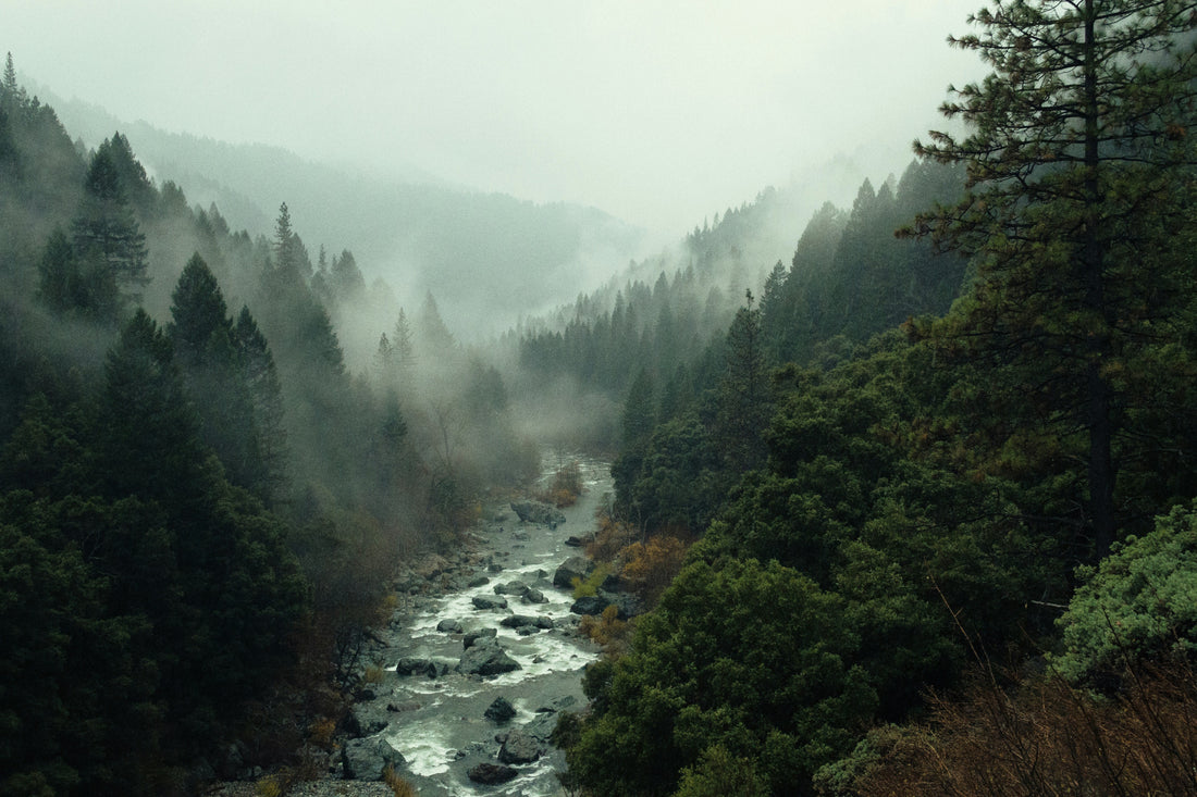 Top and Best Graphics for Streamers Agencies and Companies in Tea, South Dakota