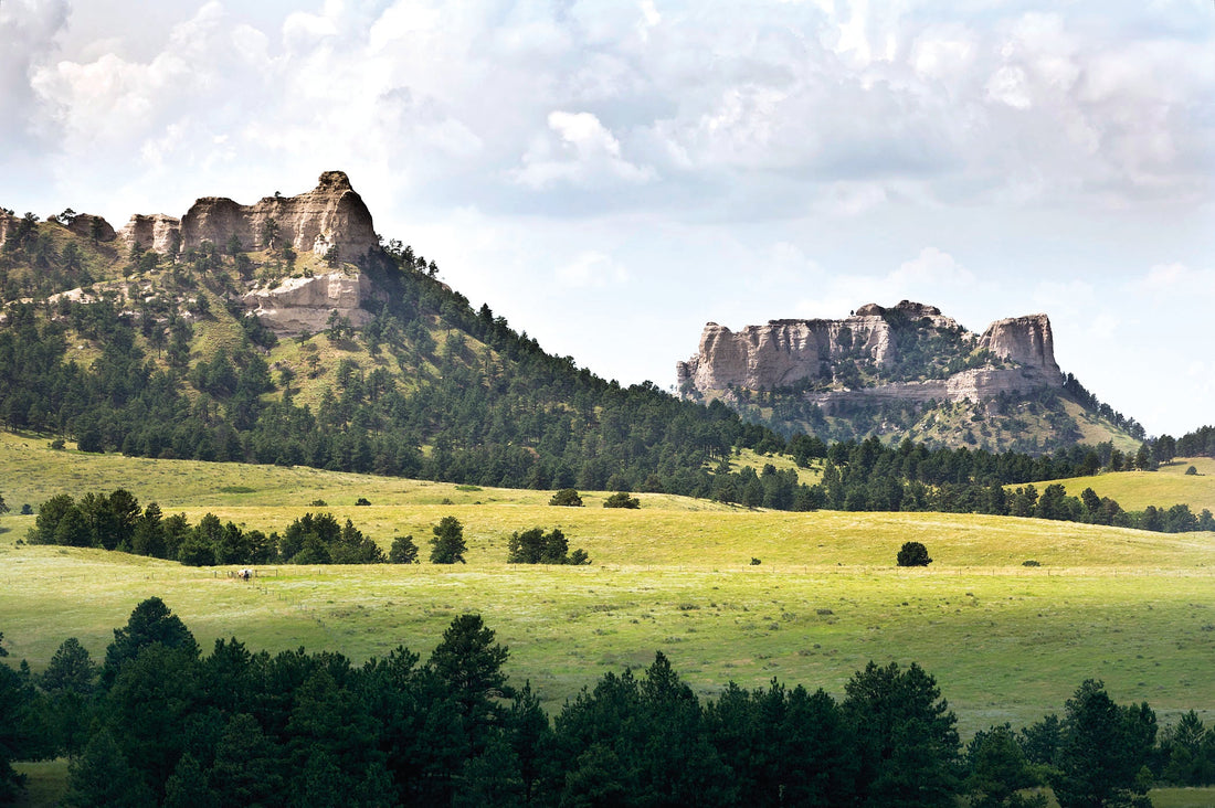 Top or Best App UI/UX Design Agencies and Companies in Lexington, Nebraska