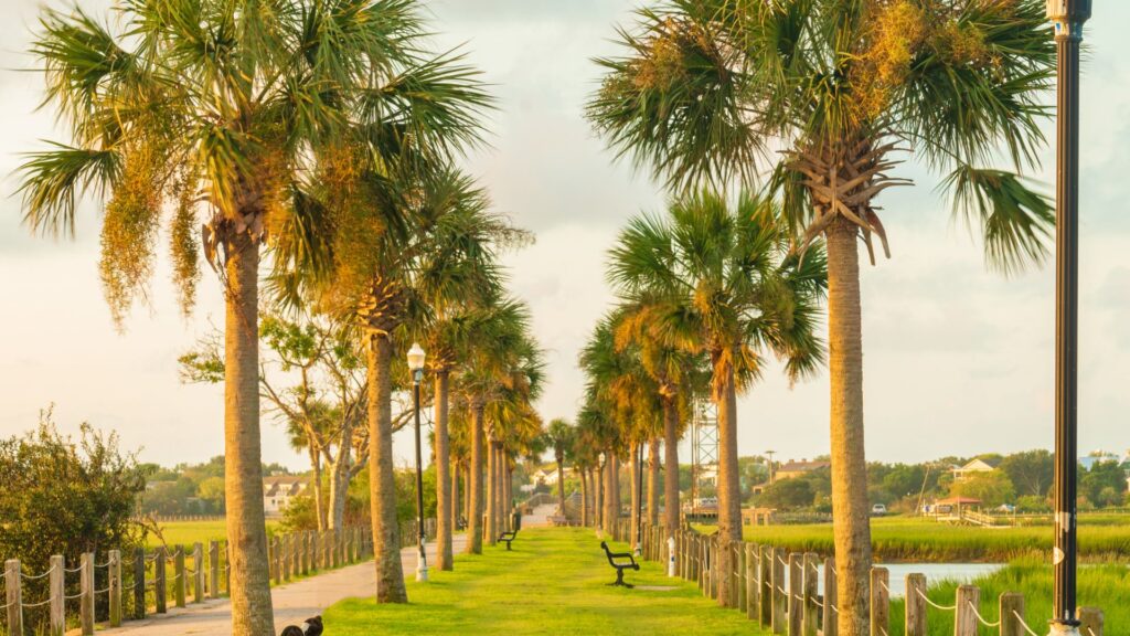 Top or Best Poster Design Agencies and Companies in Mount Pleasant, South Carolina